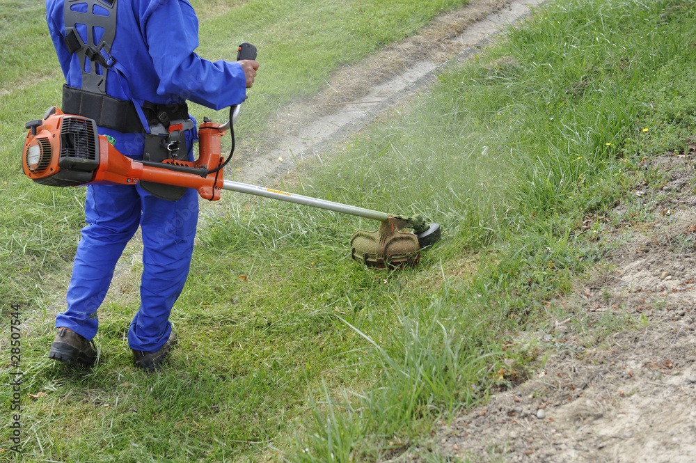 D&eacute;broussaillage